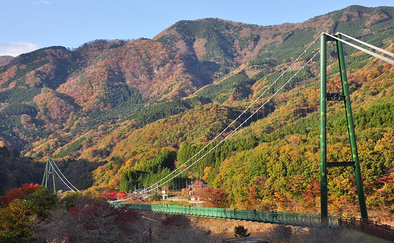 もみじ谷大吊橋